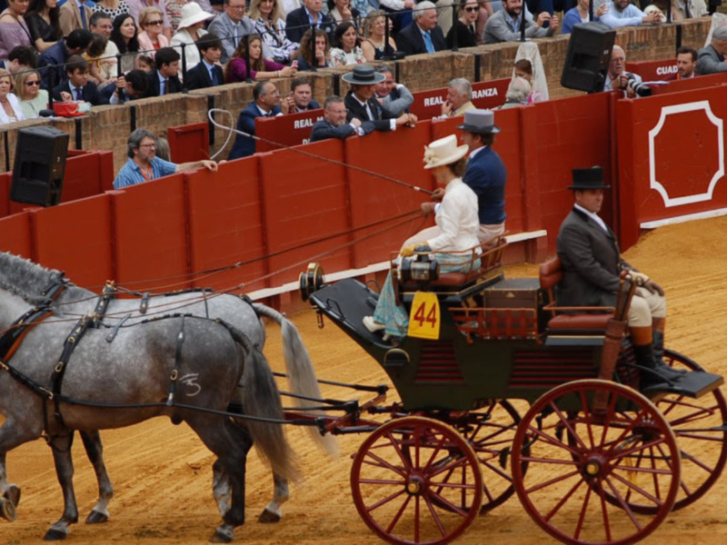 Carrera de carruajes en un evento de carruajes, con caballos y carruajes en la pista de carreras.