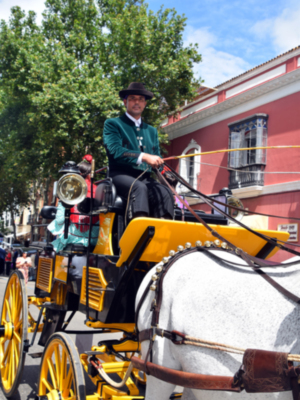 La Exhibición de Enganches, joya ecuestre de la Feria de Sevilla, cumple más de 40 años de historia