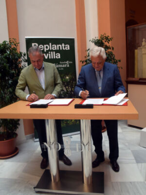  Sevilla lanza Replanta 2.0, ciudadanos y empresas podrán apadrinar árboles para combatir el cambio climático