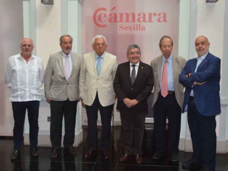  El Observatorio de Infraestructuras de Sevilla alerta sobre el retraso generalizado en los grandes proyectos de la provincia
