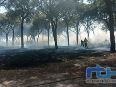 Tano Guzmán recuerda que en 2022 se solicitó a la Junta introducir pastoreo controlado en el pinar para prevenir incendios