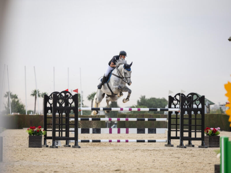 Un jinete monta un caballo blanco en una prueba de salto. El jinete lleva casco y guantes negros, mientras el caballo salta sobre una cerca de obstáculo con barras horizontales rojas y negras. En el fondo, se pueden ver palmeras y un cielo despejado.