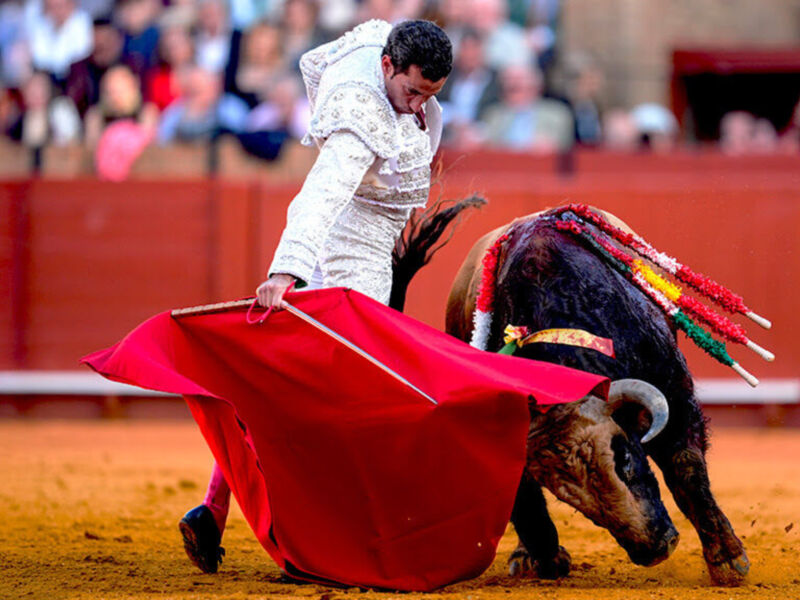 "6 toreros yankees 6", una mirada insólita al vínculo entre Estados Unidos y la tauromaquia