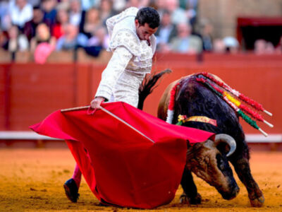 David de Miranda, Juan Ortega y Pablo Aguado abren este viernes la Feria de San Miguel en Canal Sur