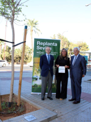 La Cámara de Comercio y el Ayuntamiento de Sevilla refuerzan el patrimonio verde con 208 nuevos árboles