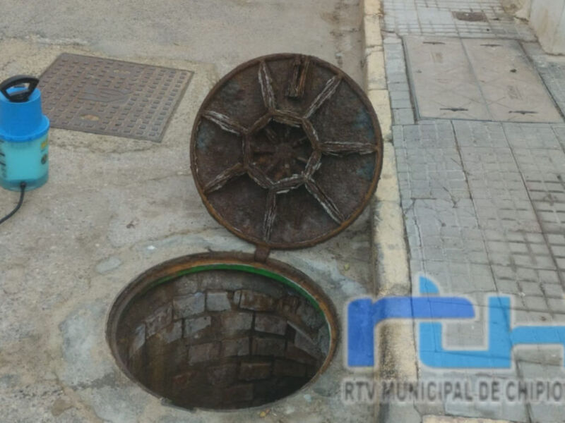 La Delegación de Sanidad informa de las últimas actuaciones para el control de plagas realizadas en Chipiona