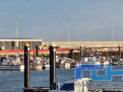 El sector pesquero reclama al Gobierno medidas urgentes ante el inminente amarre de la flota