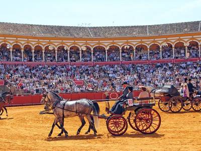 Ronda homenajeada en un desfile de elegancia y caballos que ilumina la Maestranza de Sevillana