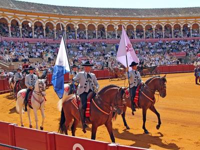 “La 40ª Exhibición de Enganches rinde homenaje a Ronda y a la tradición ecuestre en Sevilla”