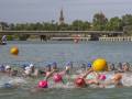 El Club Náutico Sevilla, protagonista del Andaluz Open de natación en aguas abiertas