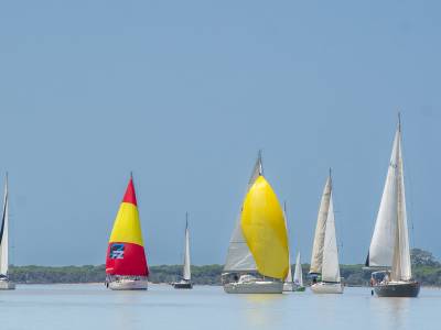 60º Ascenso internacional a vela del río Guadalquivir