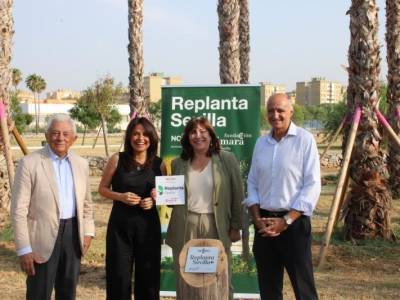  Sevilla suma sombra, naturaleza y futuro con nuevas plantaciones en Miraflores 