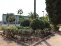 Nuevas plantaciones en el Parque de Consolación de Utrera.